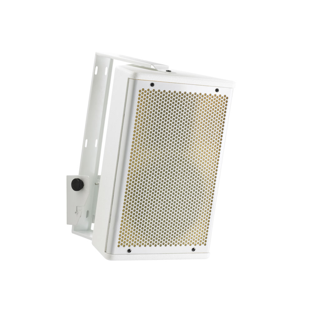 100W RMS passive speaker 6.5" - White